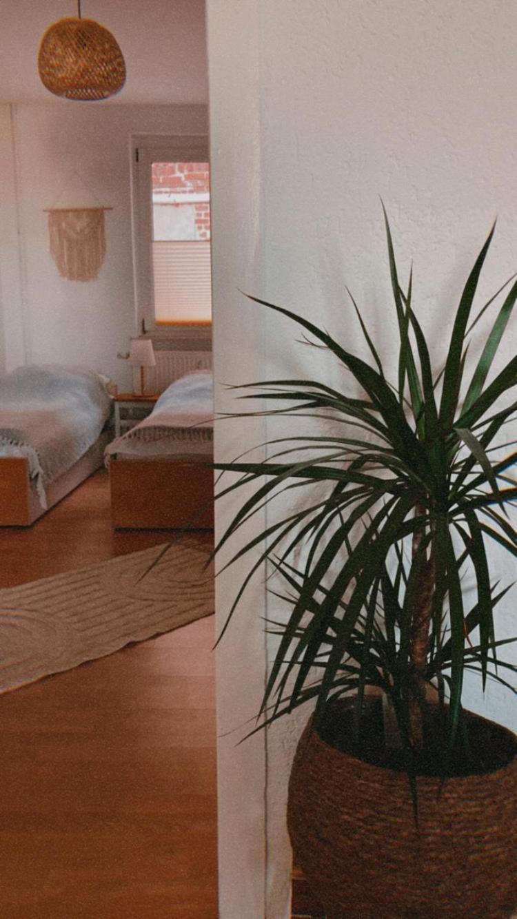 Ferienwohnung Nr. 1 Terrasse Bodden Kanu Bootssteg Zudar Εξωτερικό φωτογραφία